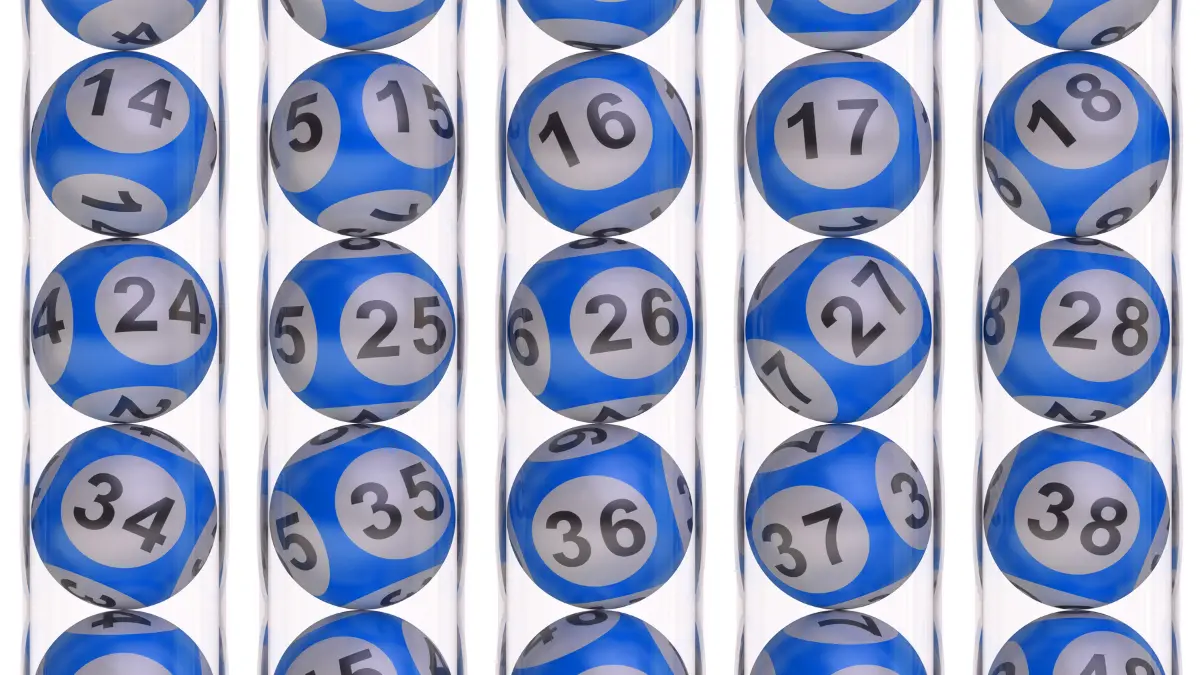 Palpite do jogo do bicho para 18 horas