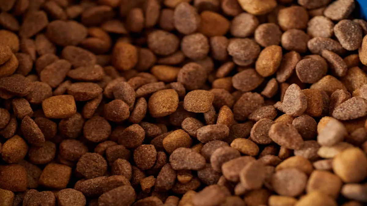 Dieta rica em proteínas para pets de alta performance