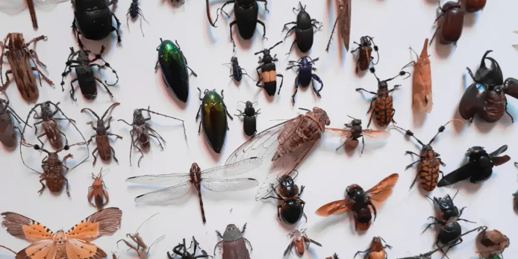 Afastar insetos naturalmente