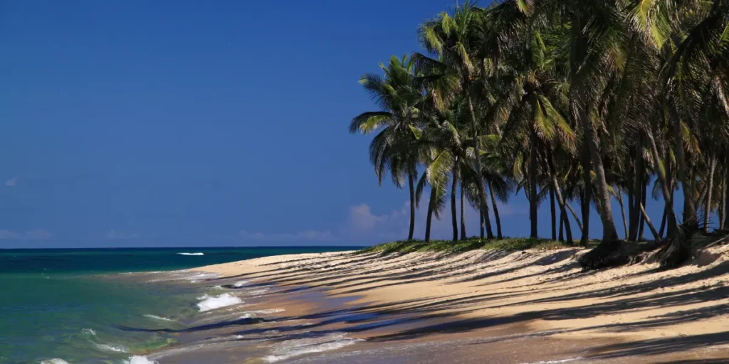 Nordeste