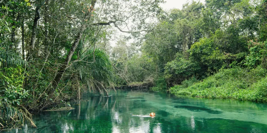 Onde fica o Rio da Prata